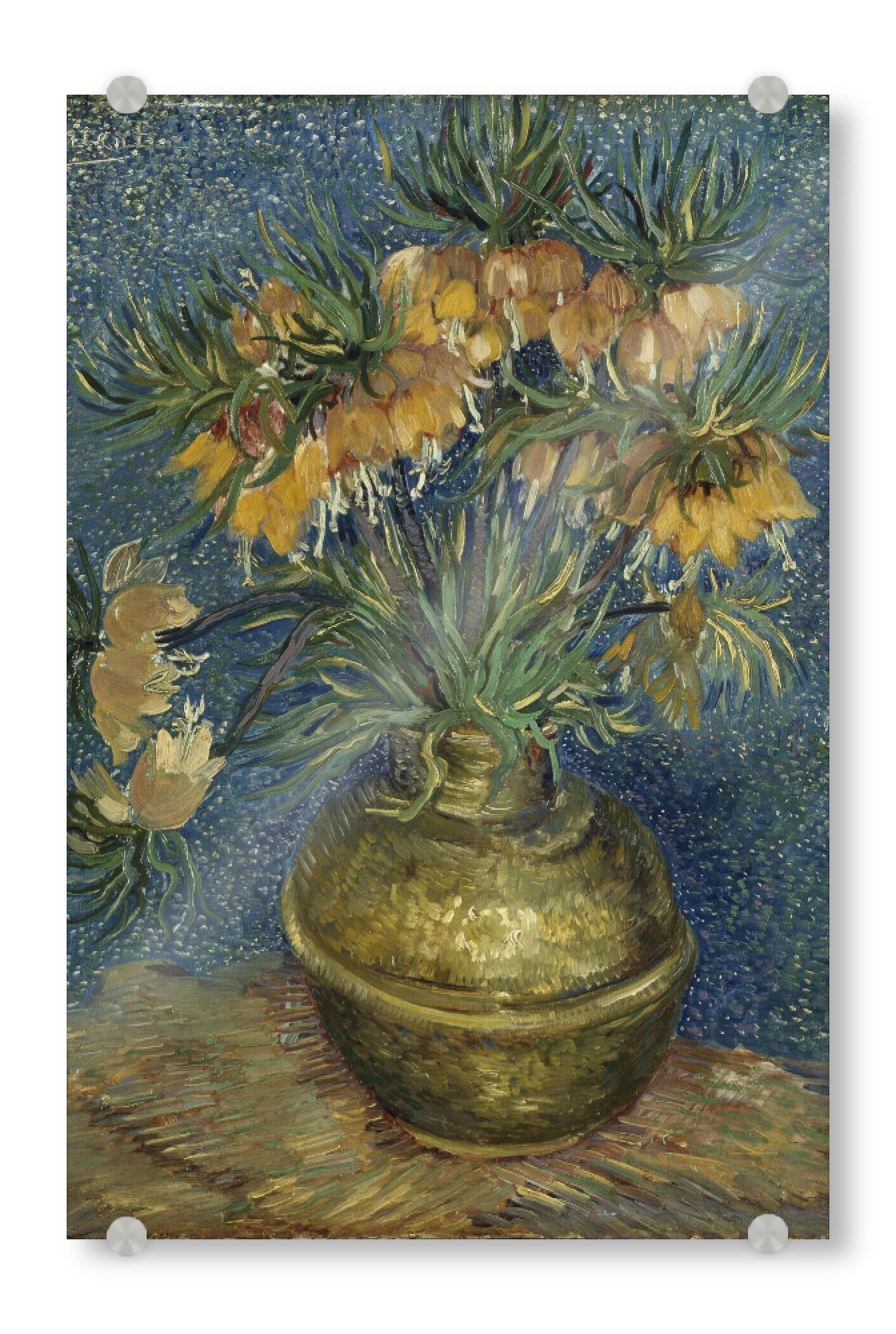 Acrylglasbild "Kaiserkrone in einer Kupfervase" artboxONE - Natur,Floral