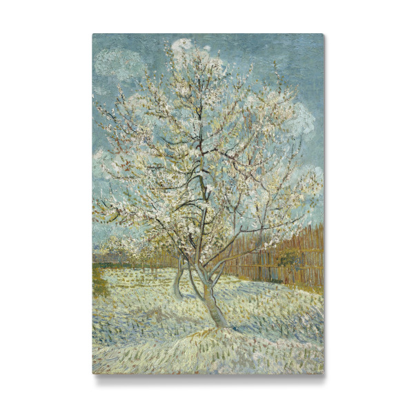 Galerie-Print "Blühender Pfirsischbaum" 30x20 cm artboxONE