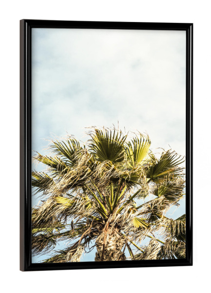 Poster mit schwarzem Rahmen "Breezy A" artboxONE - Natur,Floral
