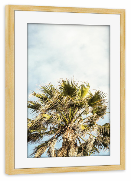 Poster mit Rahmen kiefer "Breezy A" artboxONE - Natur,Floral