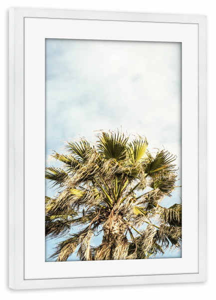 Poster mit Rahmen weiß "Breezy A" artboxONE - Natur,Floral