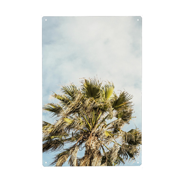 Metall Poster "Breezy A" artboxONE - Natur,Floral