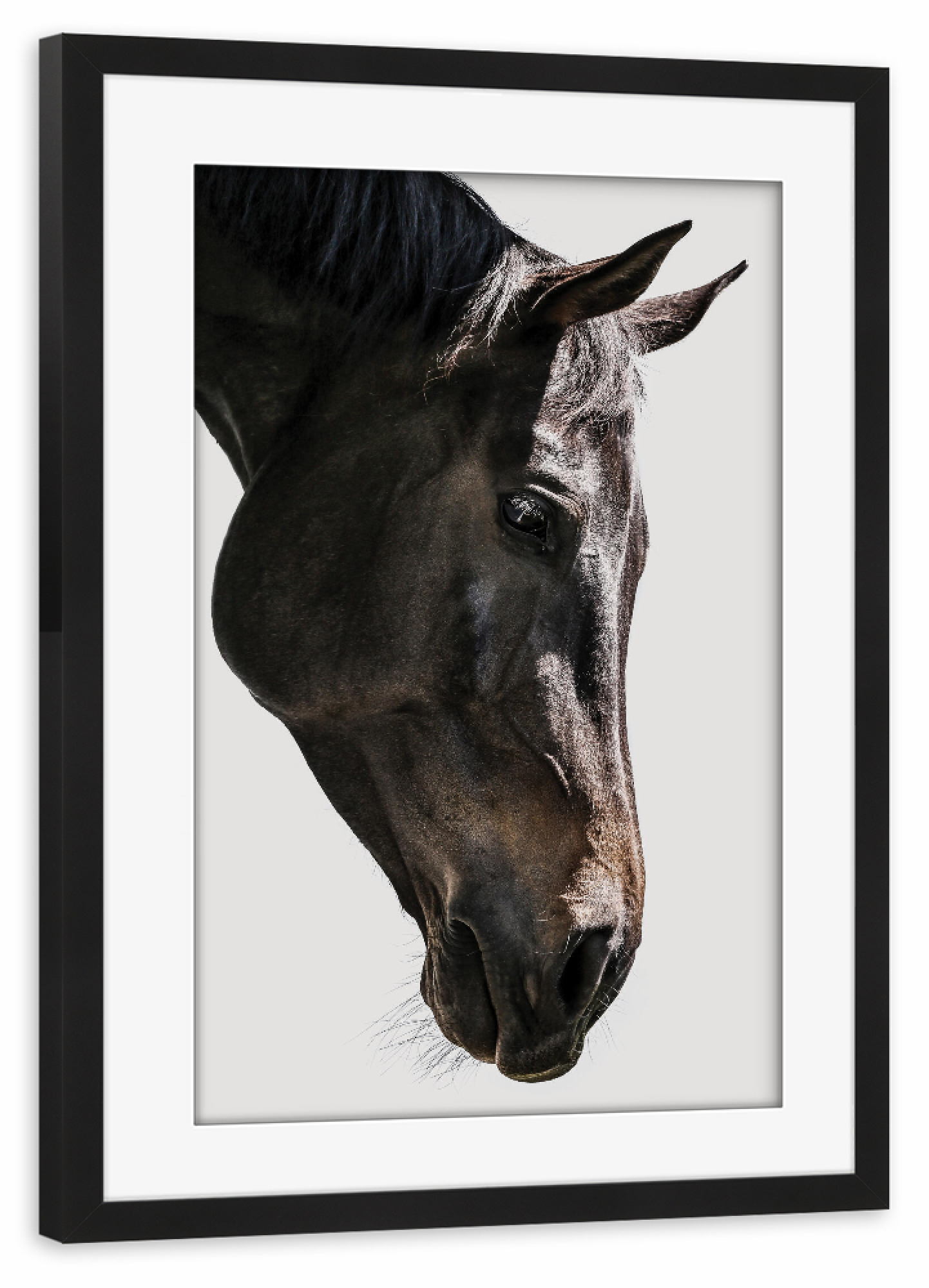 Poster mit Rahmen schwarz "Bingo" artboxONE - Natur,Tiere - Horse,Horse head,Detail,Nature,Eyes,Pferd,Tier,Animal,Portrait,Natur,Closeup,Nahaufnahme