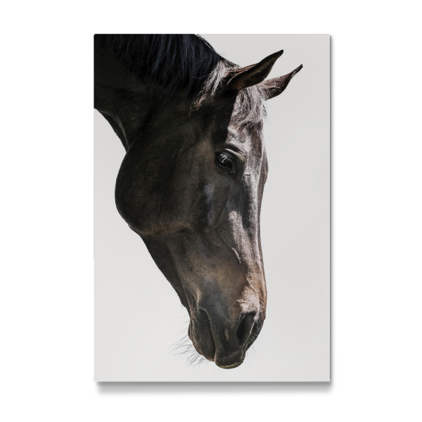 Galerie-Print "Bingo" 30x20 cm artboxONE