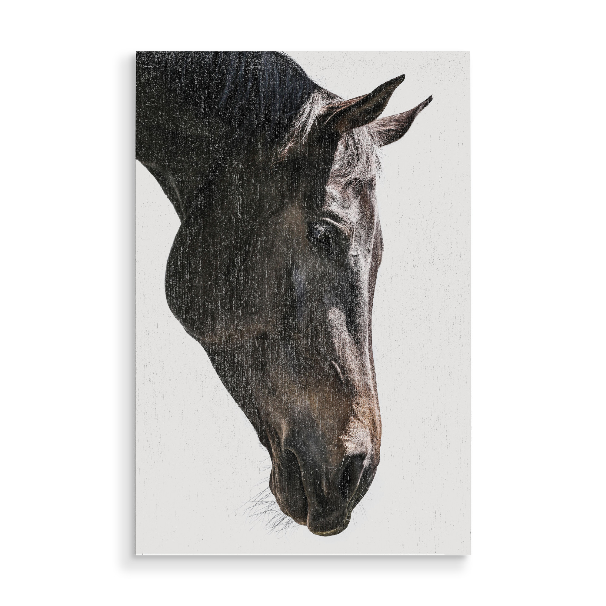 Holzbild "Bingo" artboxONE - Natur,Tiere - Horse,Horse head,Detail,Nature,Eyes,Pferd,Tier,Animal,Portrait,Natur,Closeup,Nahaufnahme