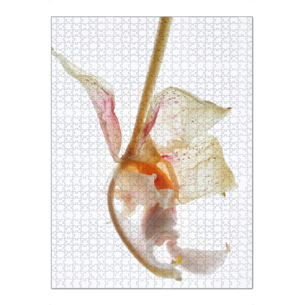 Puzzle Ravensburger "Arch Angel B" artboxONE - Natur,Abstrakt