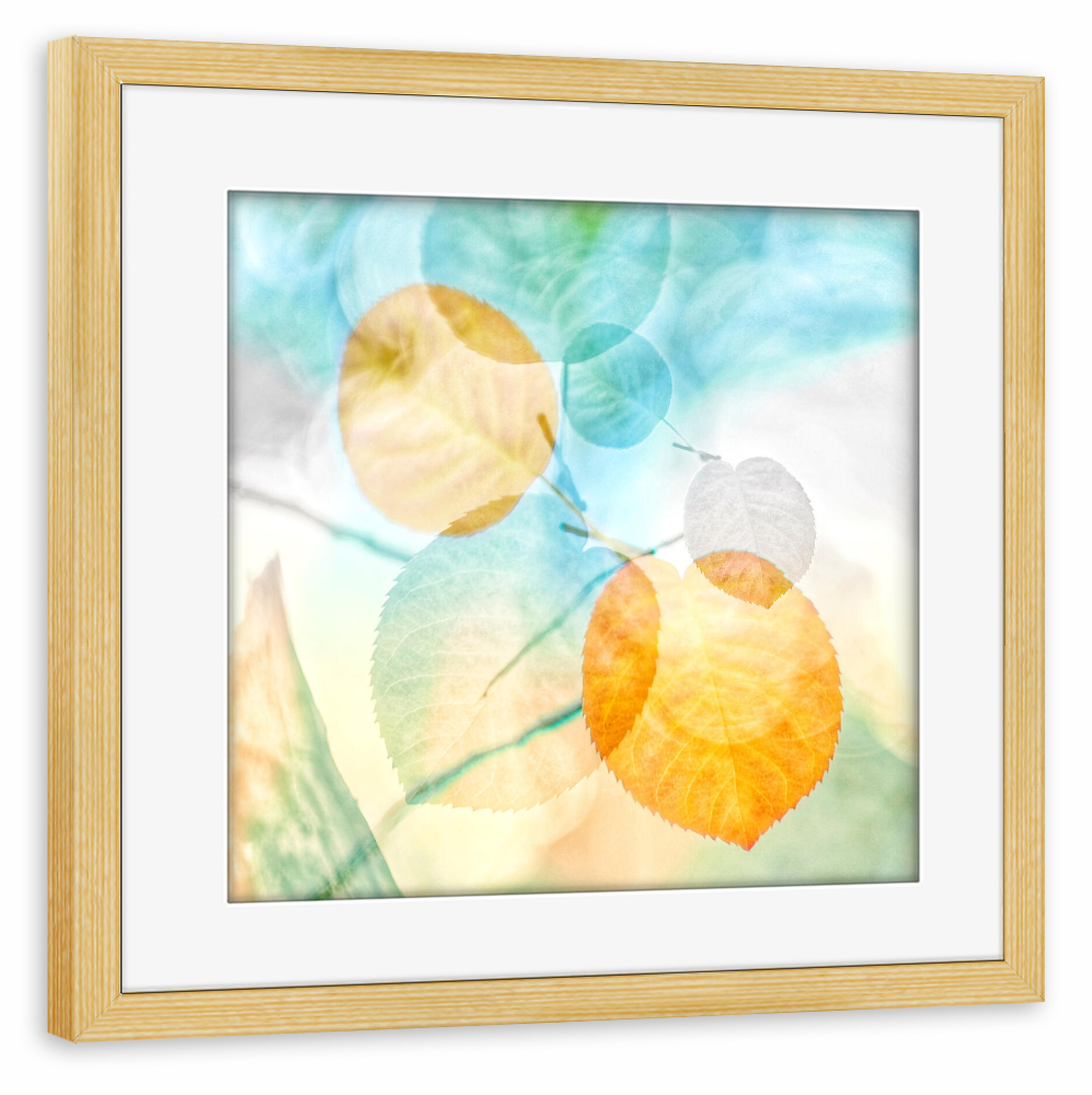 Poster mit Rahmen kiefer "Playing Around" artboxONE - Natur,Floral - Herbst,Blätter,Leaves,Autumn,Colorful,Bunt,Nature,Natur