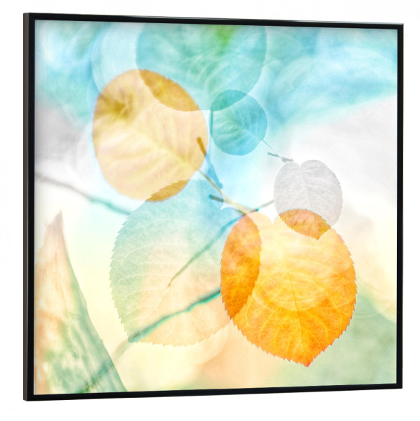 Poster mit schwarzem Rahmen 30x30 cm "Playing Around" artboxONE - Natur,Floral - Herbst,Blätter,Leaves,Autumn,Colorful,Bunt,Nature,Natur