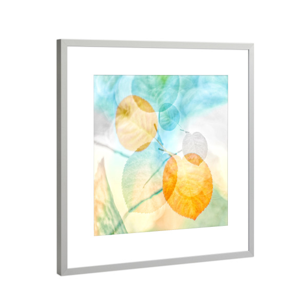 Poster mit Rahmen Silber "Playing Around" artboxONE - Natur,Floral - Herbst,Blätter,Leaves,Autumn,Colorful,Bunt,Nature,Natur