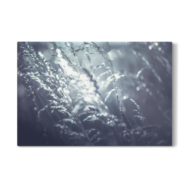 Galerie-Print "Waving field" 30x20 cm artboxONE