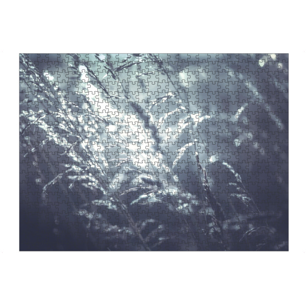 Puzzle Ravensburger "Waving field" artboxONE - Natur,Floral - Gras,ähren,Gräser,Gegenlicht,Floral,Nahaufnahme,Closeup,Natur,Nature - Bild gras