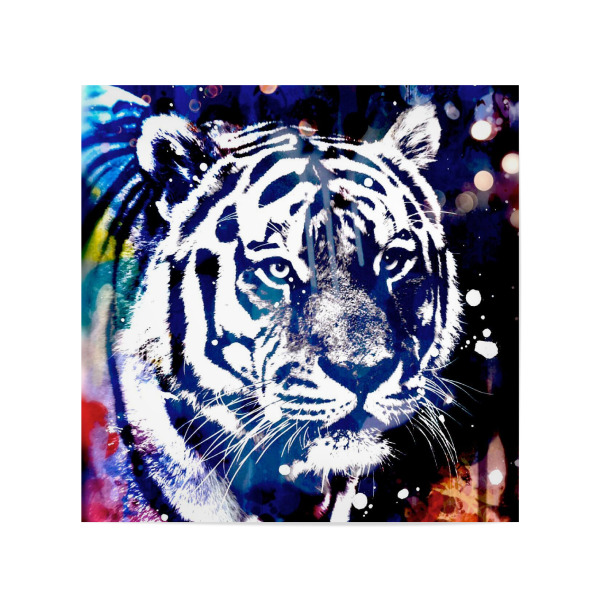 Poster 20x20 cm "Pop Art Tiger Blue" artboxONE - Tiere,Abstrakt