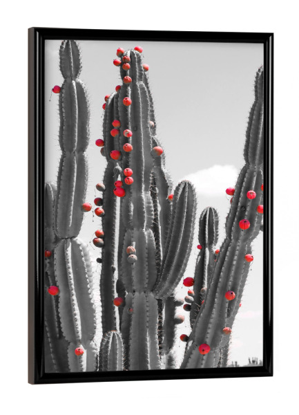 Poster mit schwarzem Rahmen "Kaktus mit roten Früchten" artboxONE - Natur,Floral