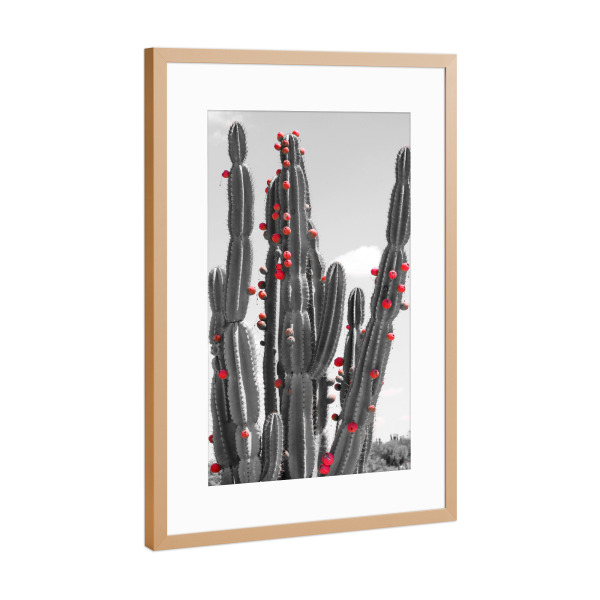 Poster mit Rahmen Kupfer "Kaktus mit roten Früchten" artboxONE - Natur,Floral
