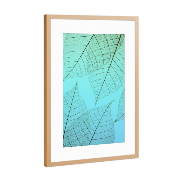 Poster mit Rahmen Kupfer "Green Transparent Leaf" artboxONE - Natur,Abstrakt