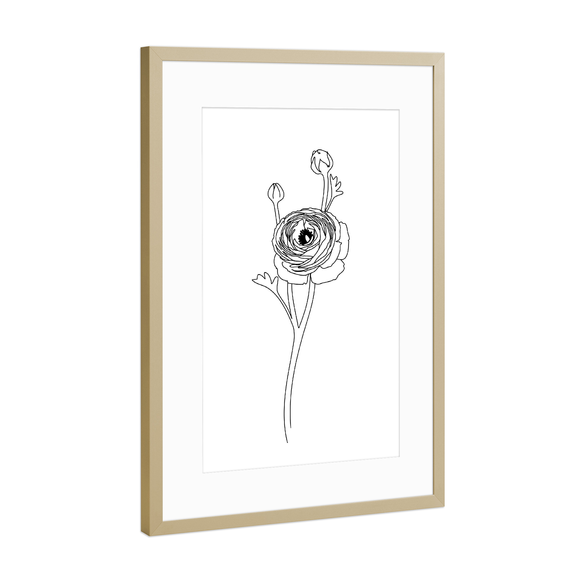 Poster mit Rahmen Gold "Ranunculus branch line art" artboxONE - Floral
