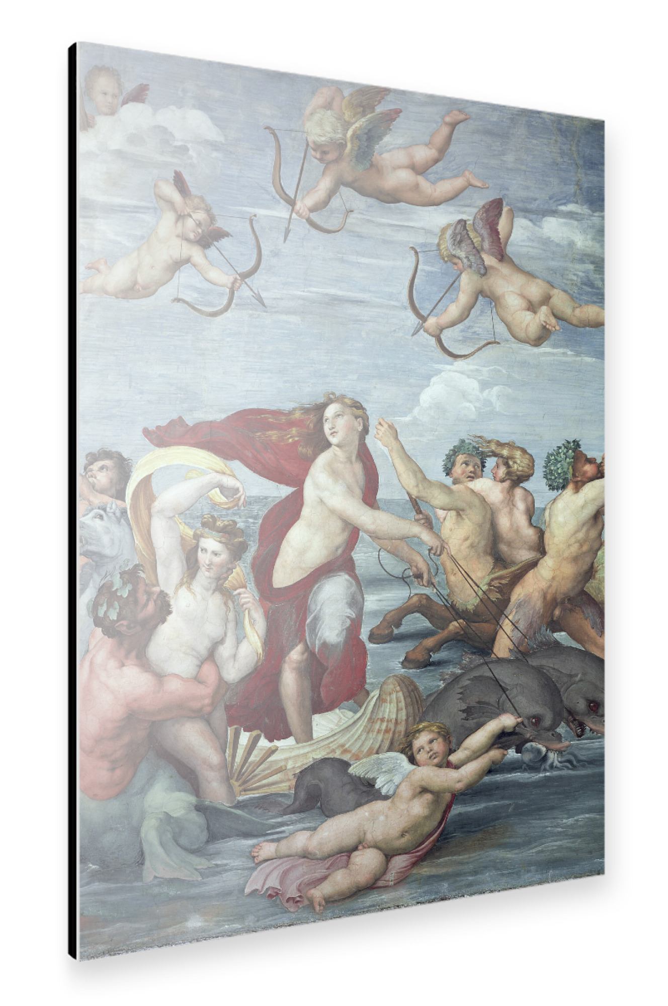 Alu-Dibond "Triumph der Galatea" 30x20 cm artboxONE