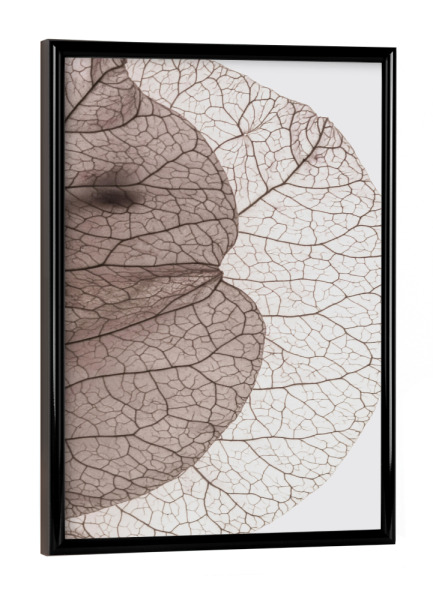 Poster mit schwarzem Rahmen "Bougainvillea Island" artboxONE - Natur,Floral,Abstrakt