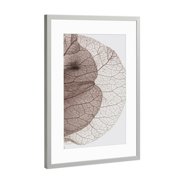 Poster mit Rahmen Silber "Bougainvillea Island" artboxONE - Natur,Floral,Abstrakt