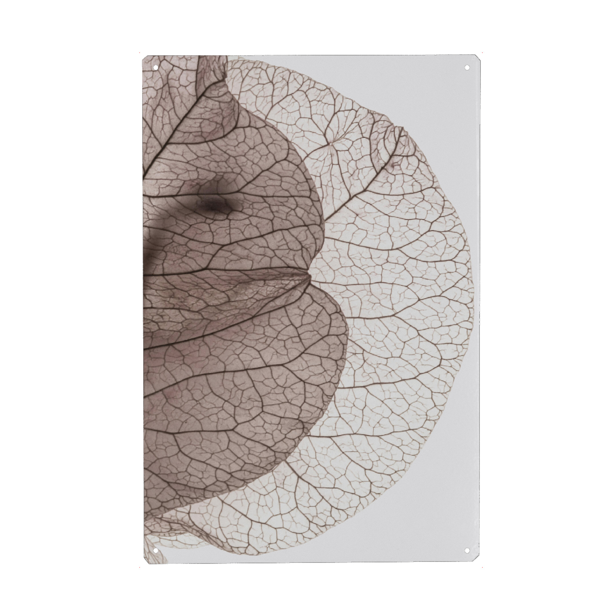 Metall Poster "Bougainvillea Island" artboxONE - Natur,Floral,Abstrakt