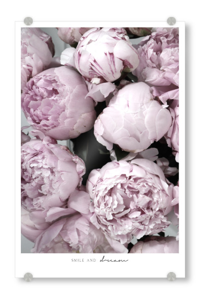 Acrylglasbild "Smile and dream peony bouquet" artboxONE - Typografie,Floral