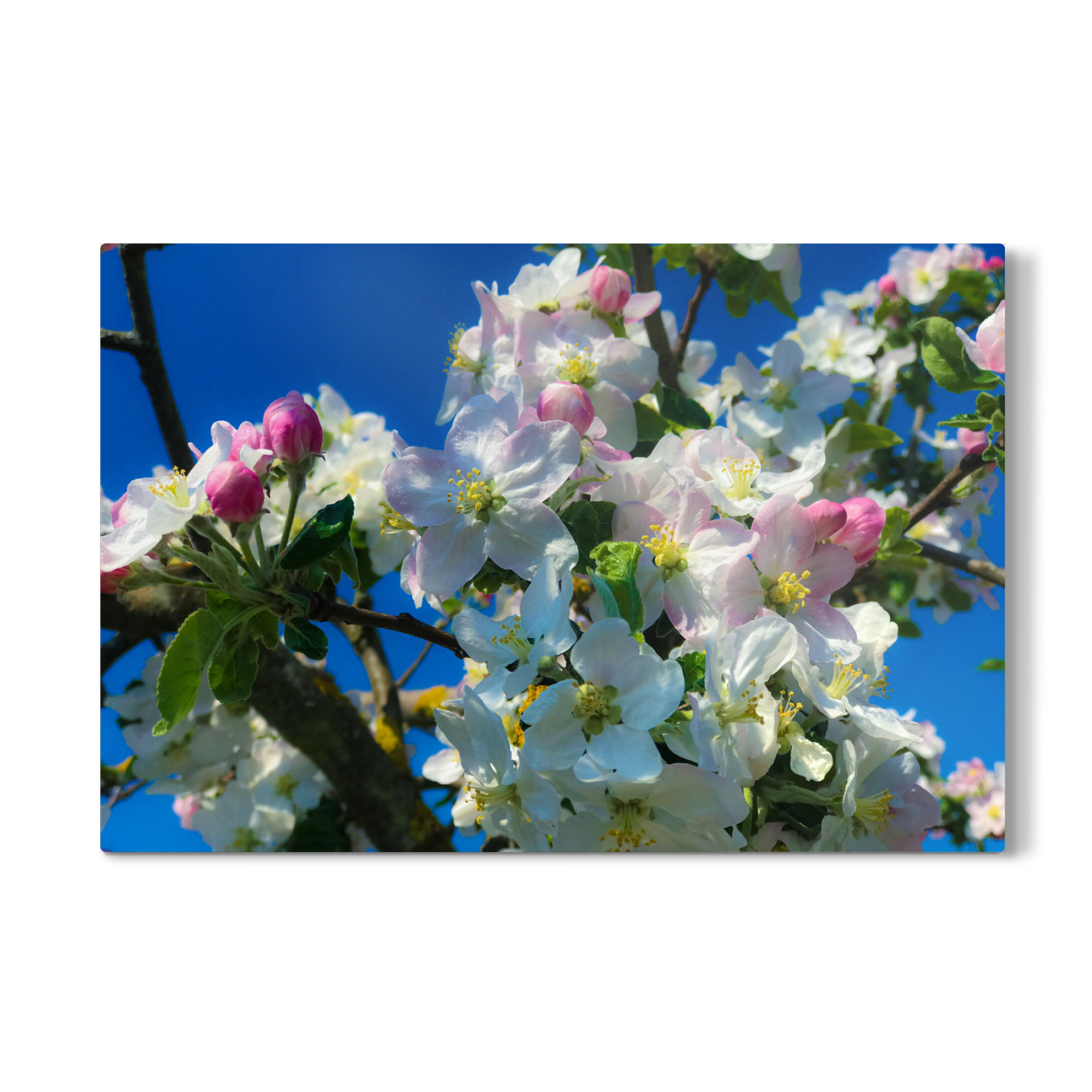 Galerie-Print "So schmeckt der Frühling" 30x20 cm artboxONE