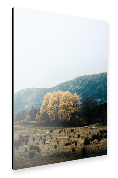 Alu-Dibond "Empire" 30x20 cm artboxONE