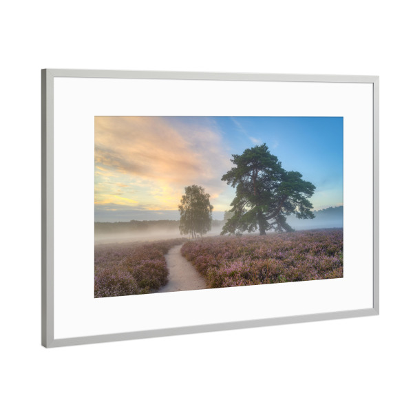Poster mit Rahmen Silber "Morgennebel in der Westruper Heide" artboxONE - Natur,Reise,Reise / Länder