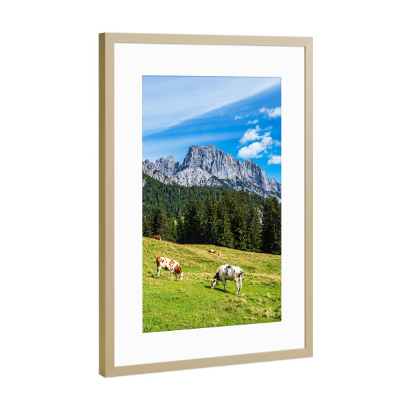 Poster mit Rahmen Gold "Litzlalm mit Kühen" artboxONE - Natur,Reise,Tiere