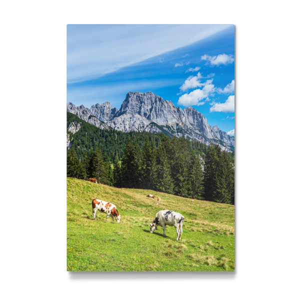 Galerie-Print "Litzlalm mit Kühen" 30x20 cm artboxONE