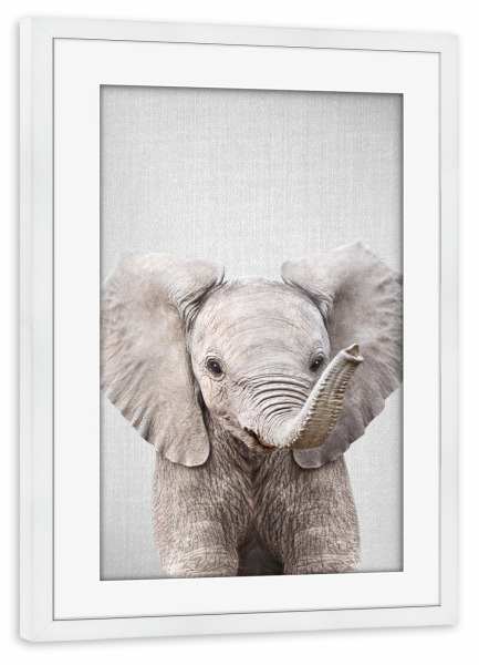 Poster mit Rahmen weiß "Baby Elephant - Colorful" artboxONE - Natur,Für Kinder,Tiere,Reise / Afrika