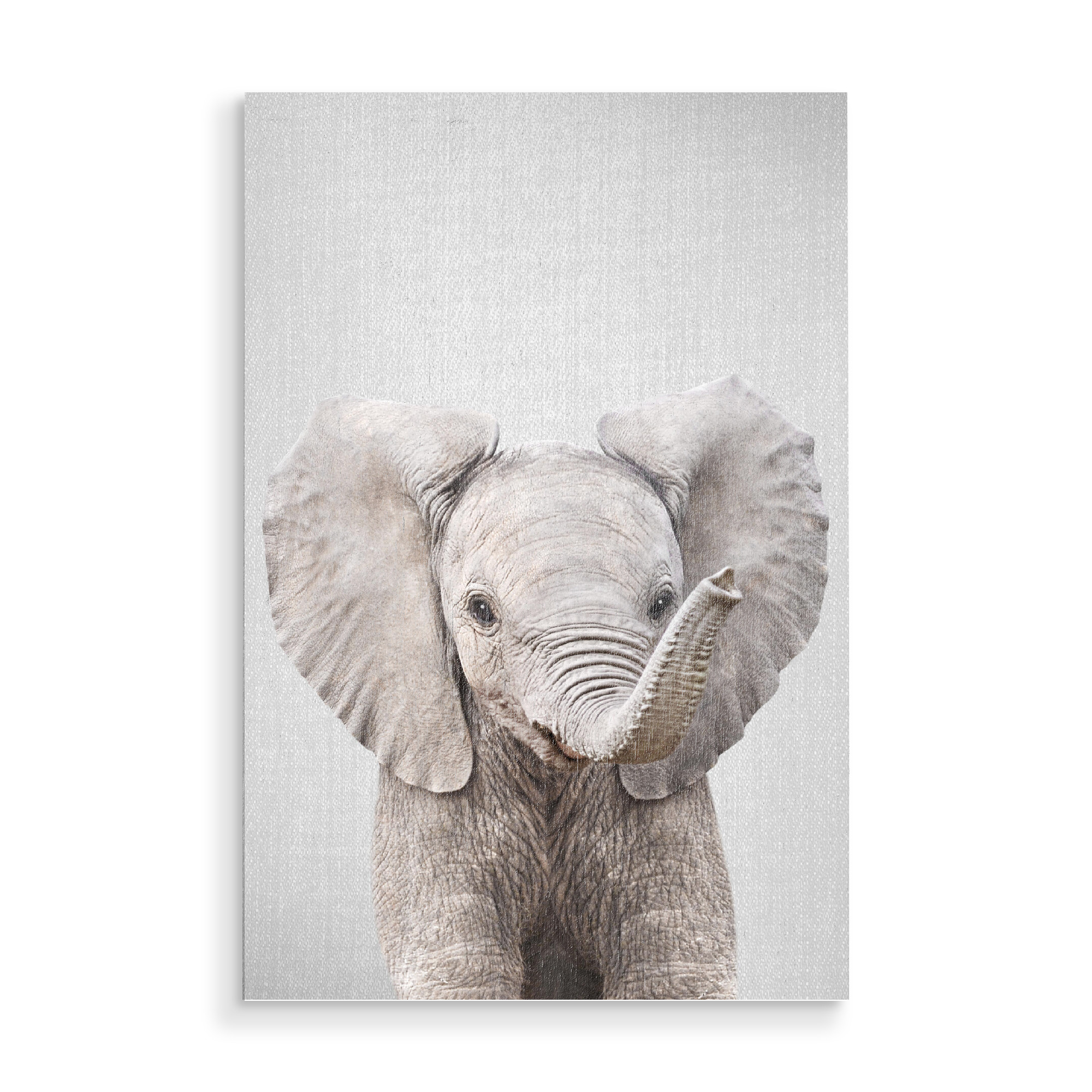 Holzbild "Baby Elephant - Colorful" artboxONE - Natur,Für Kinder,Tiere,Reise / Afrika
