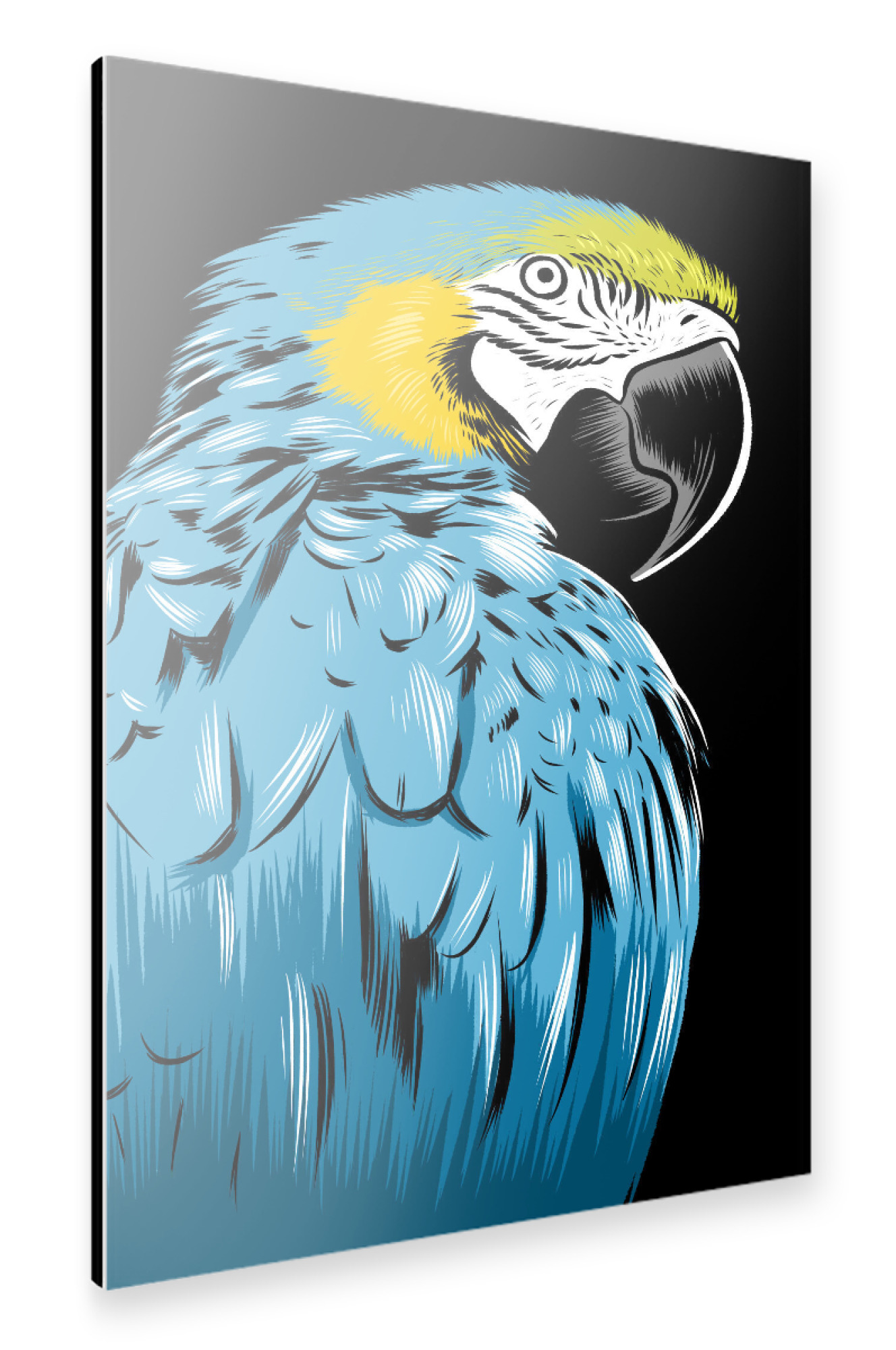 Alu-Dibond "Blue Macaw" 30x20 cm artboxONE