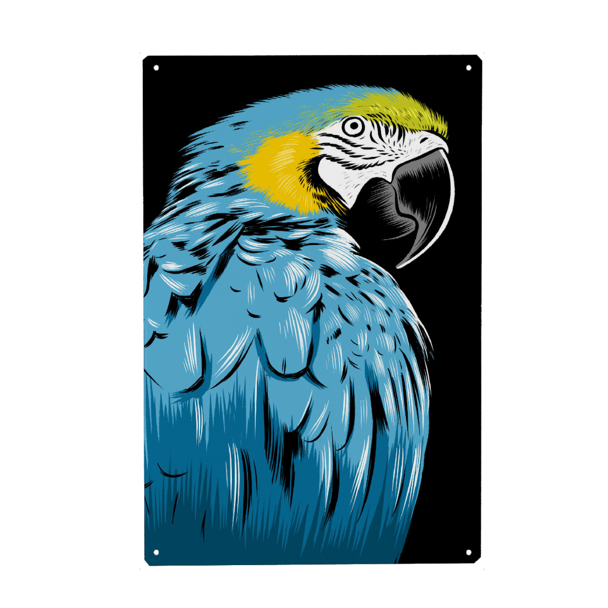 Metall Poster "Blue Macaw" artboxONE - Tiere - Bird,Tropical,Parrot,Macaw,Bunt,Colorful,Savage,Wild,Jungle,Vogel,Papagei,Tier,Animal,Natur,Nature