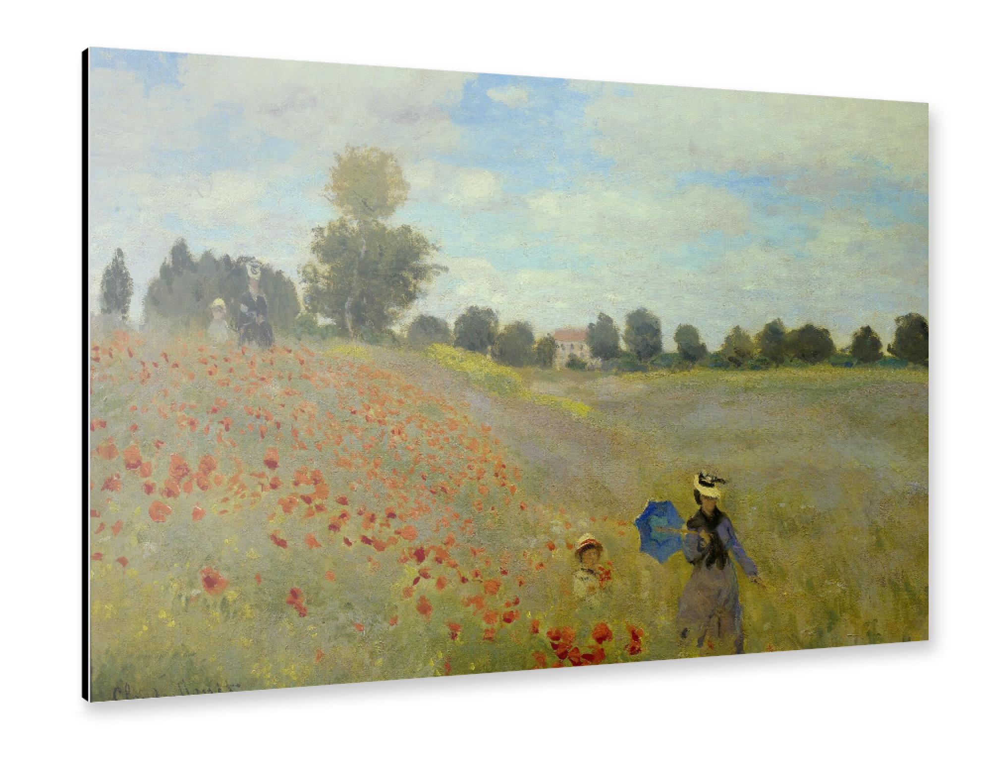 Alu-Dibond "Mohnblumenfeld" 75x50 cm artboxONE
