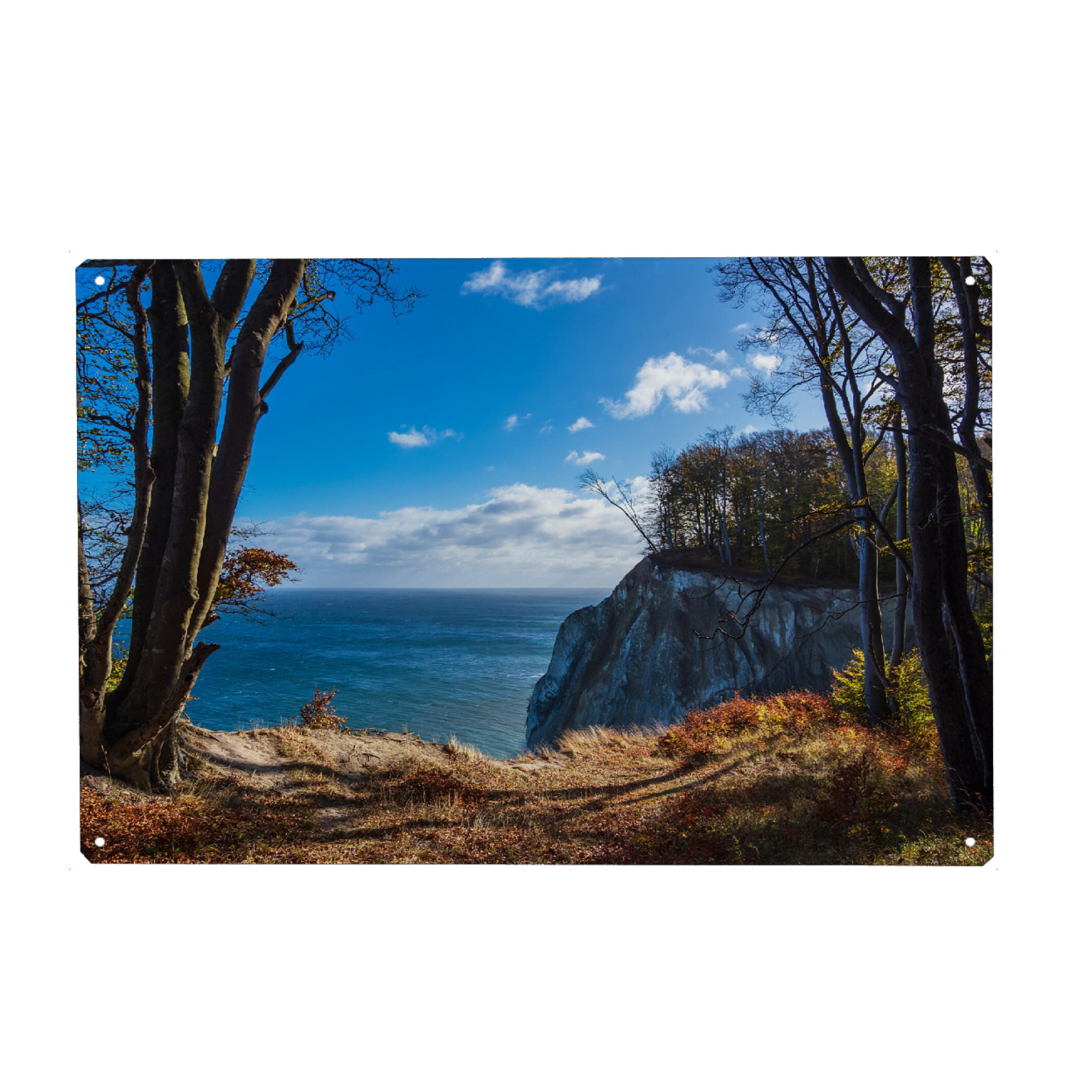 Metall Poster "Kreidefelsen aufMoen" artboxONE - Natur,Reise,Reise / Strand und Meer,Reise / Länder