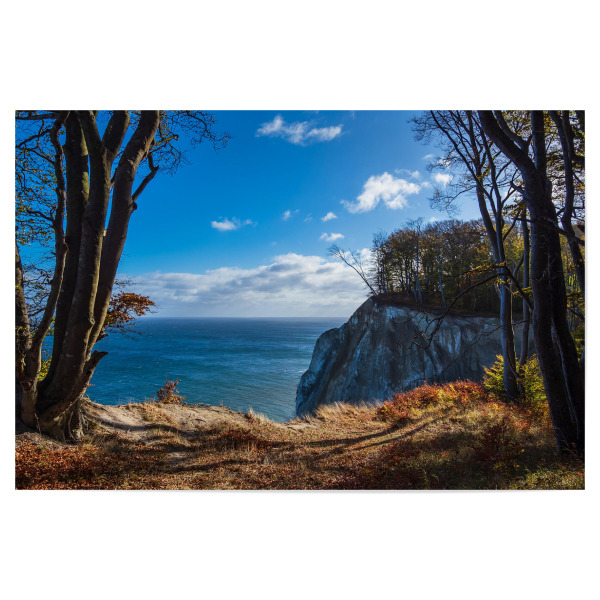 Poster "Kreidefelsen aufMoen" artboxONE - Natur,Reise,Reise / Strand und Meer,Reise / Länder