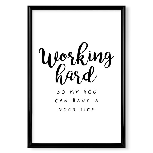 Working Hard For My Dog