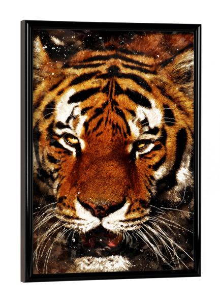 Poster mit schwarzem Rahmen "Tiger I (matart)" artboxONE - Natur,Tiere