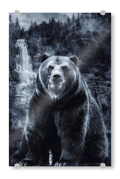 Acrylglasbild "Bear & Forest (matart)" artboxONE - Natur,Tiere - Bear,Bears,Animal,Nature,Bär,Tier,Wild,Grizzly,Forest