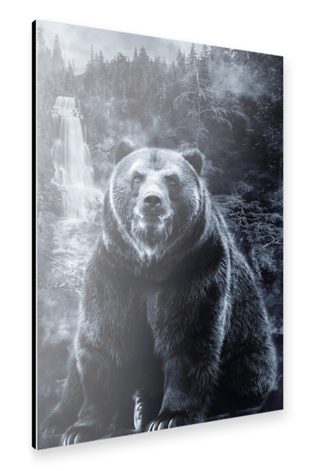 Alu-Dibond "Bear & Forest (matart)" 30x20 cm artboxONE