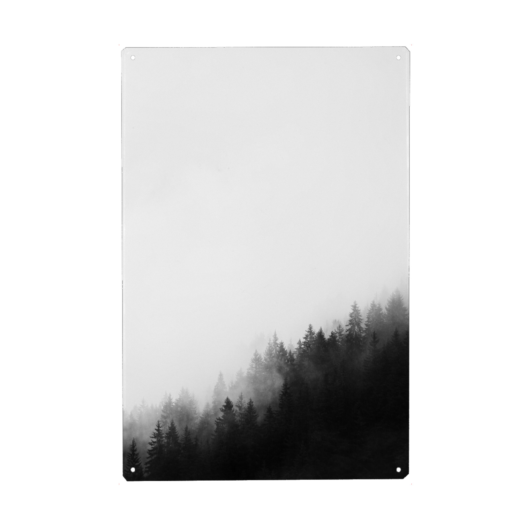 Metall Poster "Woods" artboxONE - Natur - Wald,Schwarzweiß,Landschaft,Blackandwhite,Nebel,Forest,Natur,Nature,Bäume,Trees - Blechschild