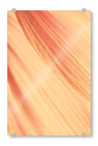 Acrylglasbild "Petal Details" artboxONE - Natur,Floral - Petal,Flower,Sunflower,Orange,Blume,Closeup,Nahaufnahme,Yellow,Delicate,Abstract,Abstrakt