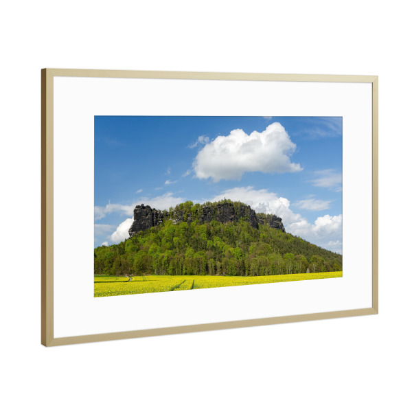 Poster mit Rahmen Gold "Lilienstein im Frühling" artboxONE - Natur,Reise
