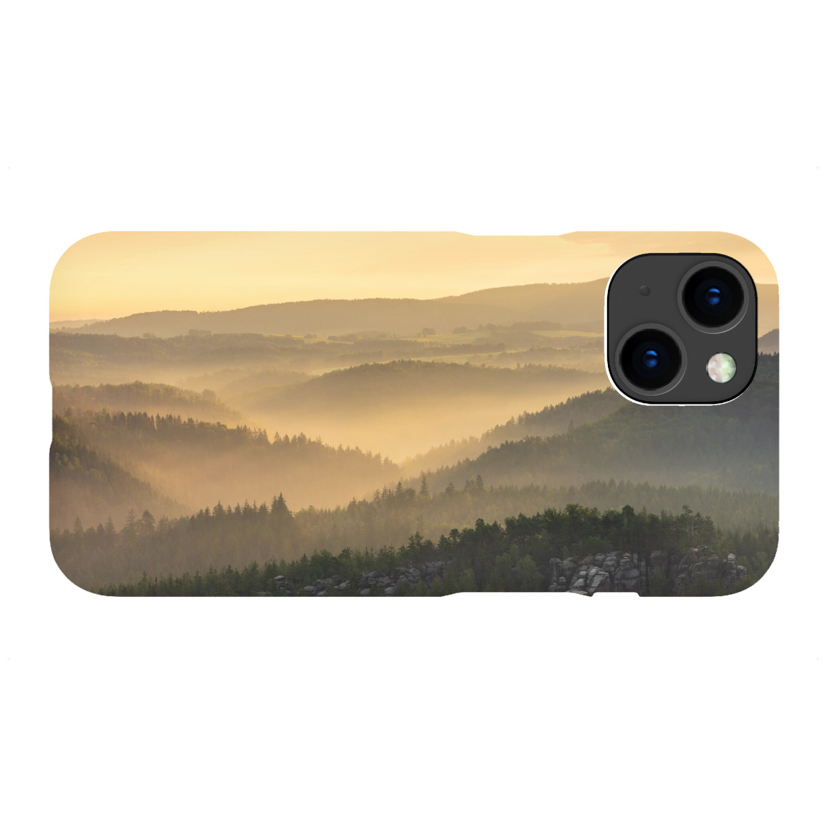 "Blick ins Kirnitzschtal"für iPhone - Premium-Case Handyhülle artboxONE