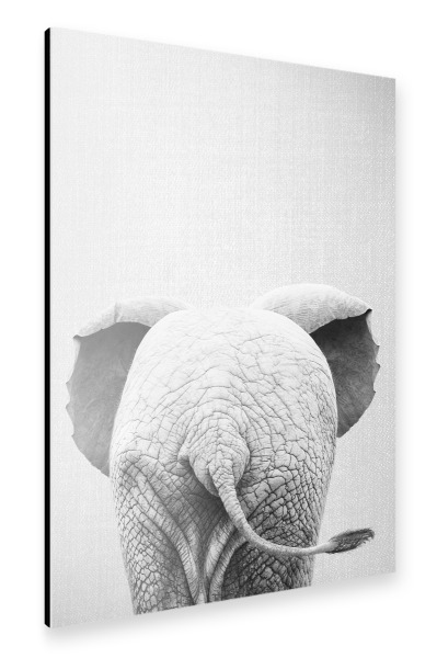 Alu-Dibond "Baby Elephant Tail - Black & White" 30x20 cm artboxONE