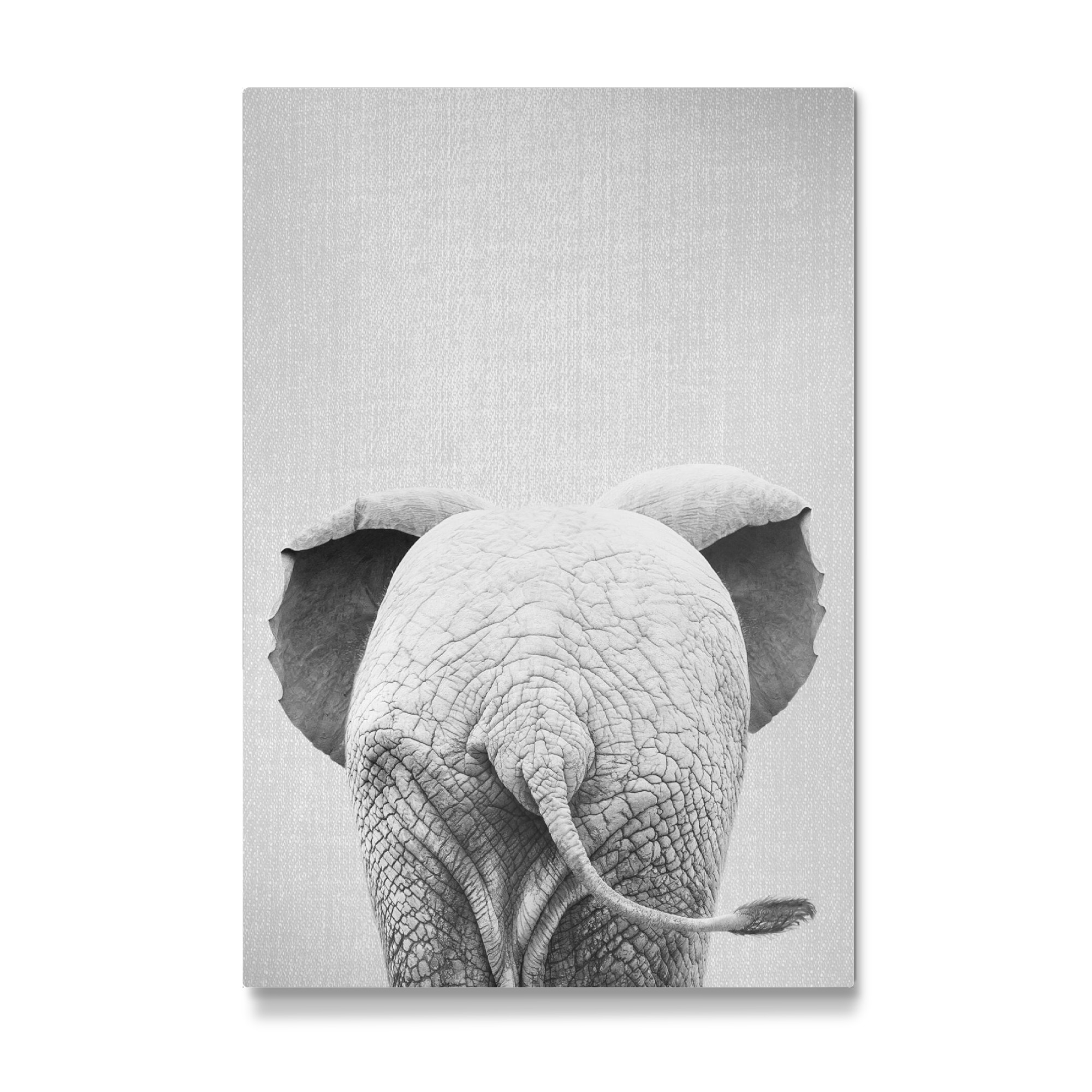 Galerie-Print "Baby Elephant Tail - Black & White" 30x20 cm artboxONE