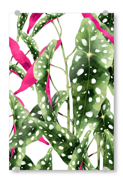 Acrylglasbild "Happiness Is...Buying Plants" artboxONE - Natur
