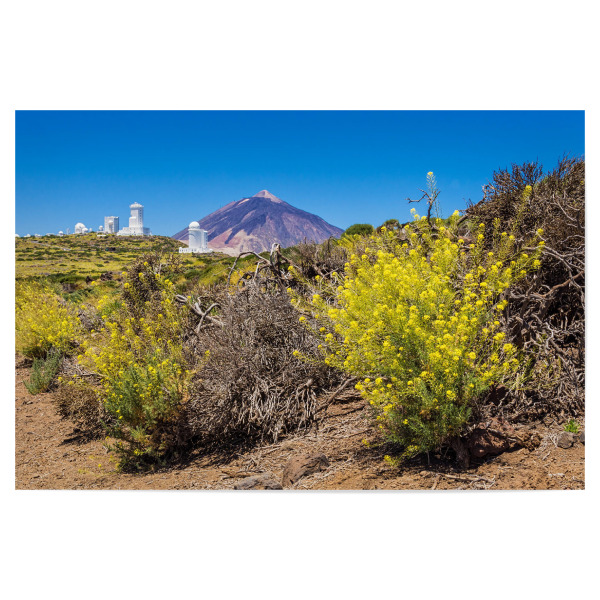 Poster "Der Vulkan Teide auf Teneriffa" artboxONE - Natur,Reise