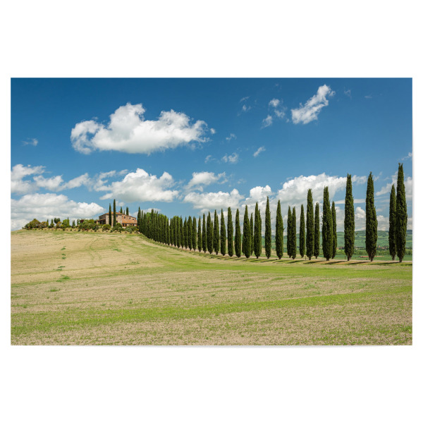 Poster "Landhaus in der Toskana" artboxONE - Natur,Reise,Reise / Länder